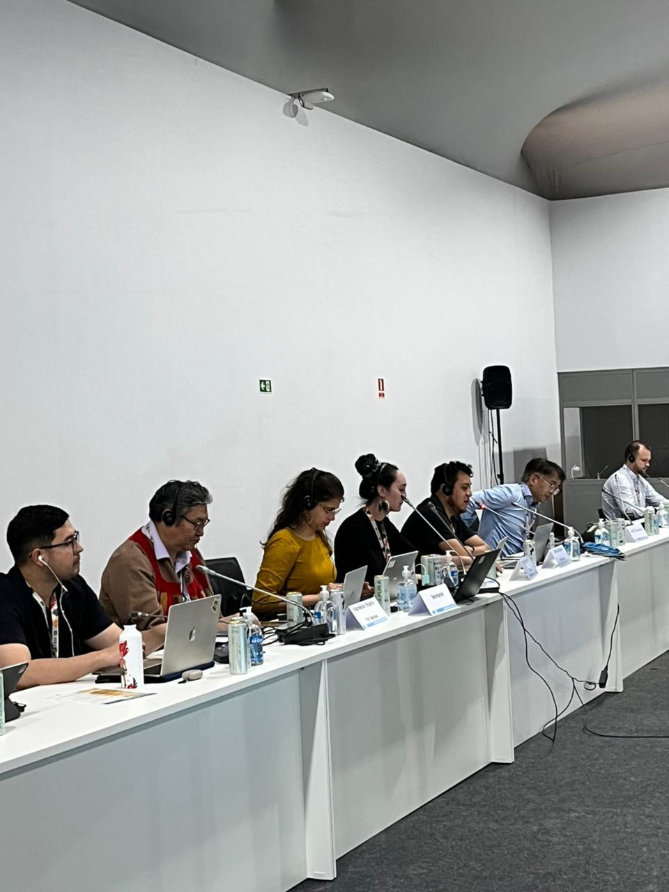 LCIPP Annual Seventh-Generation Round Table COP 30_image1