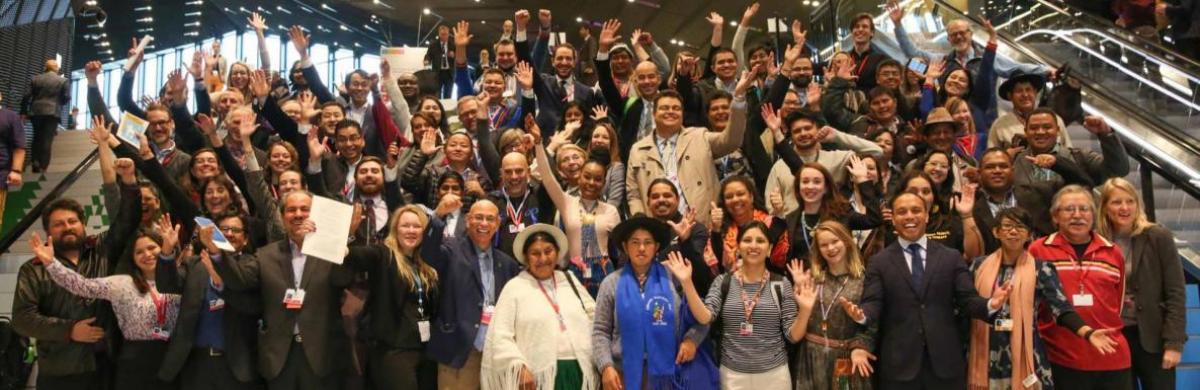 LCIPP negotiators at COP23 in Bonn, Germany