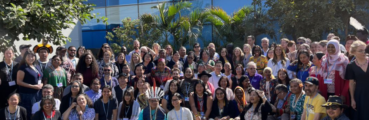 Indigenous Peoples and Local Community Representatives at COP 27